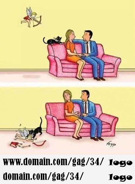 So this is why people with cats never find true love